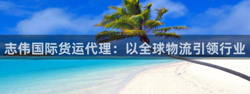 尊龙休闲e站怎么样：志伟国际货运代理：以全球物流引领行业