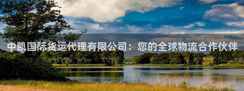 尊龙最新版：中凯国际货运代理有限公司：您的全球物流合作伙