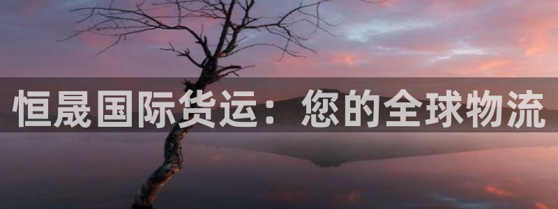 尊龙165：恒晟国际货运：您的全球物流