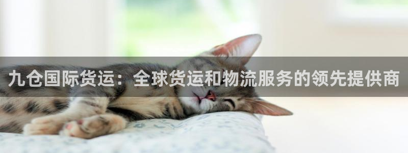 尊龙ag旗舰厅官网·(中国)官方入口：九仓国际货运：全球
