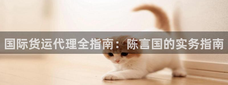 尊龙500价格：国际货运代理全指南：陈言国的实务指南