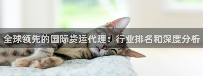 尊龙科技：全球领先的国际货运代理：行业排名和深度分析