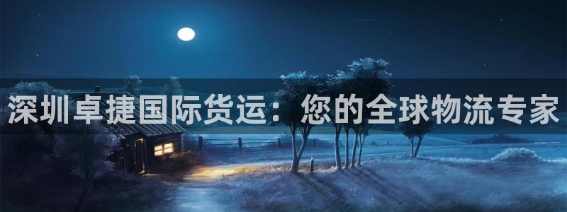 尊龙王t400：深圳卓捷国际货运：您的全球物流专家