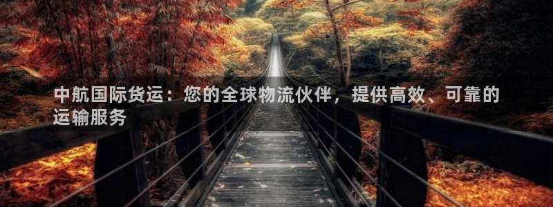 z6尊龙凯时集团：中航国际货运：您的全球物流伙伴，提供高