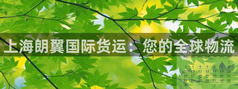 尊龙ag旗舰厅官网登录：上海朗翼国际货运：您的全球物流