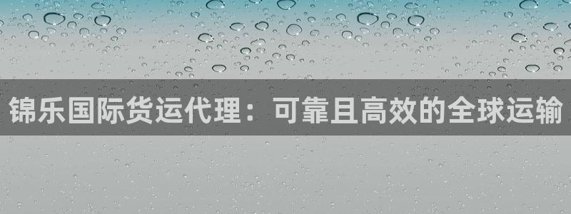 尊龙人生就是博旧版网址：锦乐国际货运代理：可靠且高效的全