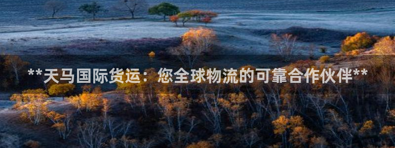 尊龙人生就是一博!：**天马国际货运：您全球物流的可靠合