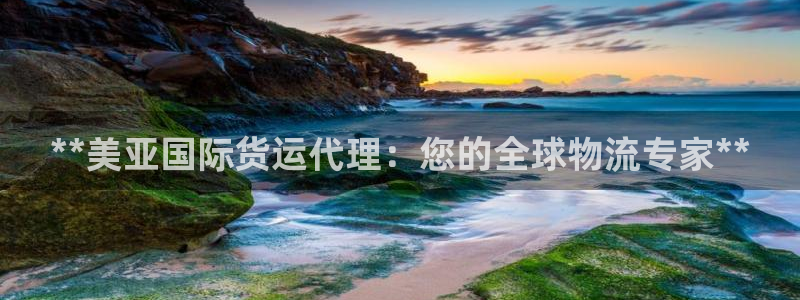 尊龙ag旗舰官网：**美亚国际货运代理：您的全球物流专家