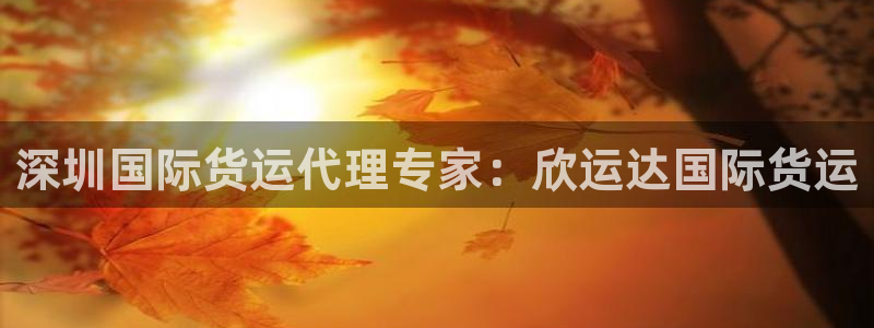 尊龙网站 人生就是博：深圳国际货运代理专家：欣运达国际货