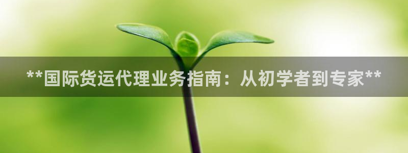 尊龙ktv怎么样：**国际货运代理业务指南：从初学者到专