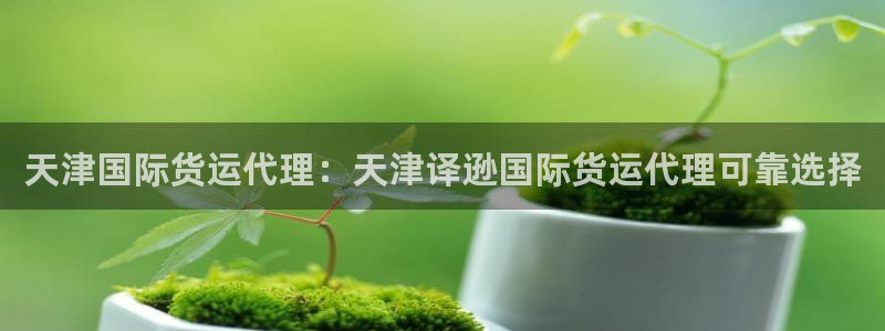 尊龙人生就是博管网：天津国际货运代理：天津译逊国际货运代
