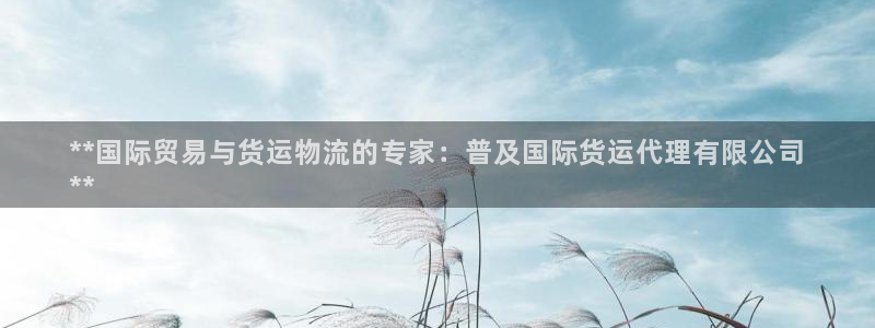 尊龙人生就是博手机版下载：**国际贸易与货运物流的专家：