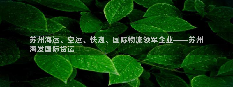 尊龙凯时网站首页手机登录：苏州海运、空运、快递、国际物流