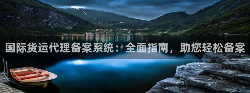 尊龙凯时网站不让提款：国际货运代理备案系统：全面指南，助
