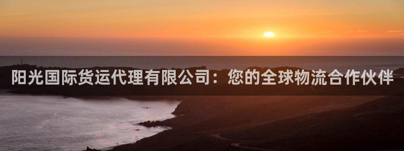 尊龙最近一次露面：阳光国际货运代理有限公司：您的全球物流