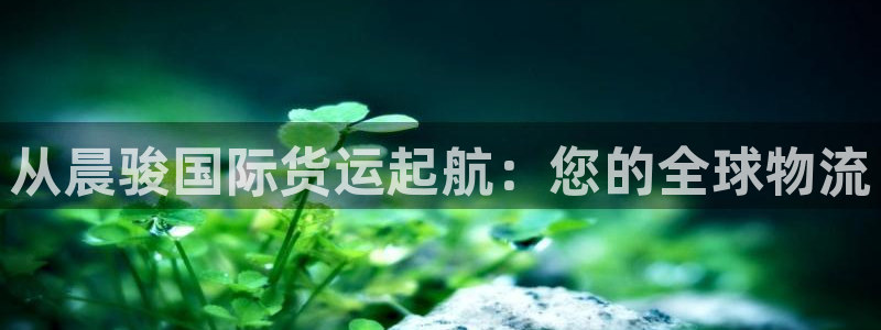尊龙z6网址：从晨骏国际货运起航：您的全球物流