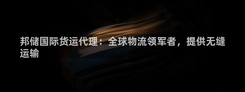 尊龙新版app：邦储国际货运代理：全球物流领军者，提供无