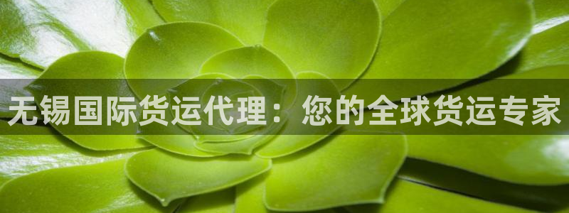 尊龙人生就是博一下阿扎尔：无锡国际货运代理：您的全球货运