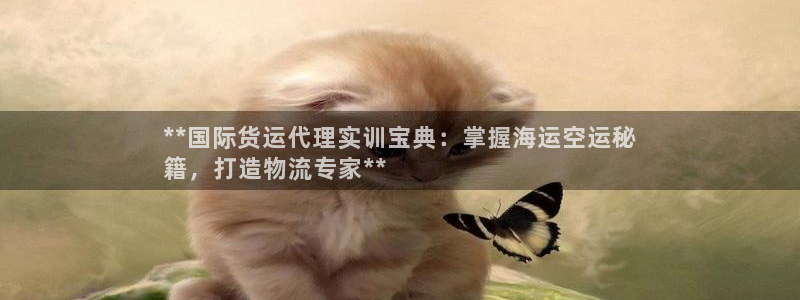 尊龙凯时登陆网址：**国际货运代理实训宝典：掌握海运空运