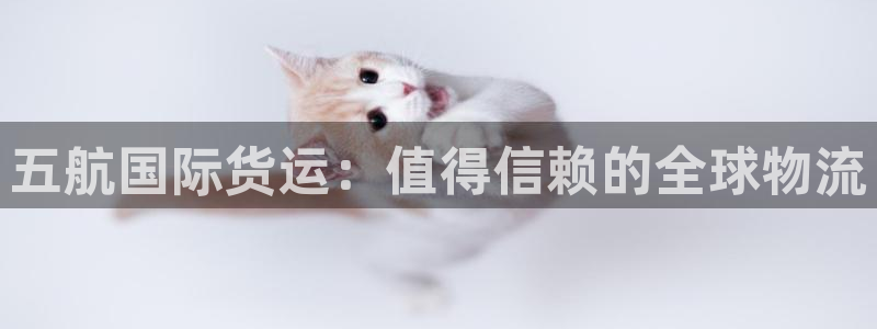尊龙科技：五航国际货运：值得信赖的全球物流
