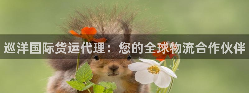 尊龙凯时产品系列：巡洋国际货运代理：您的全球物流合作伙伴