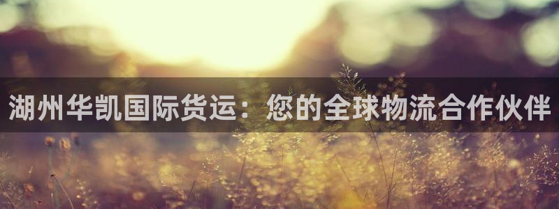 尊龙凯时不给提款：湖州华凯国际货运：您的全球物流合作伙伴