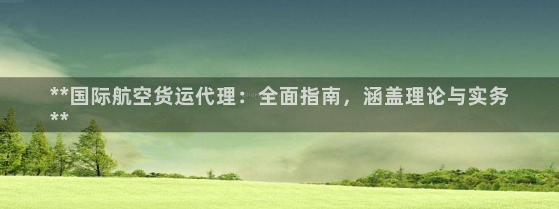 尊龙-人生就是博!：**国际航空货运代理：全面指南，涵盖
