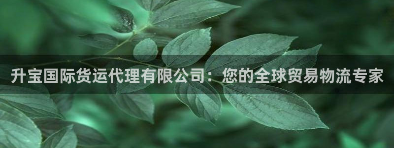 z6尊龙凯时：升宝国际货运代理有限公司：您的全球贸易物流