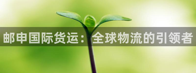 尊龙现金推荐ag发财网
