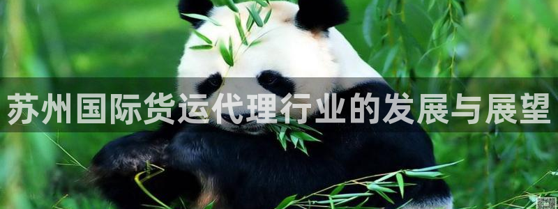 尊龙凯时人生就是博游戏网站