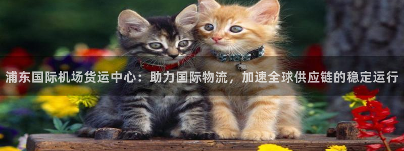 尊龙实业有限公司属于国企吗